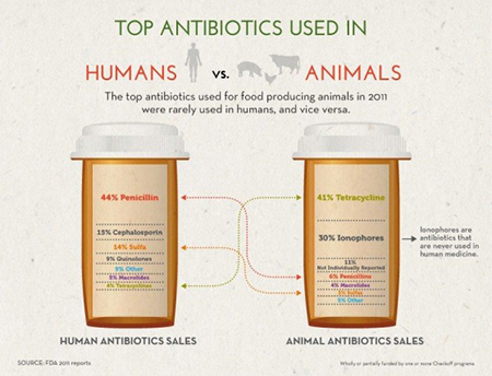 Top antibiotics used_082014.jpg