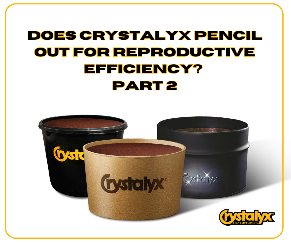 Does Crystalyx Pencil Out (10).png