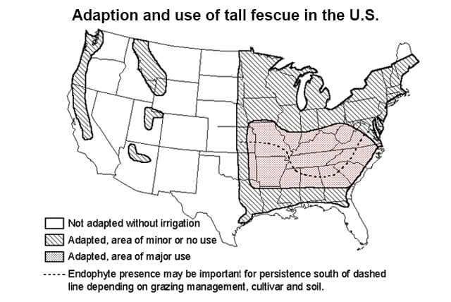 Adaption and use of tall fescue in the US map