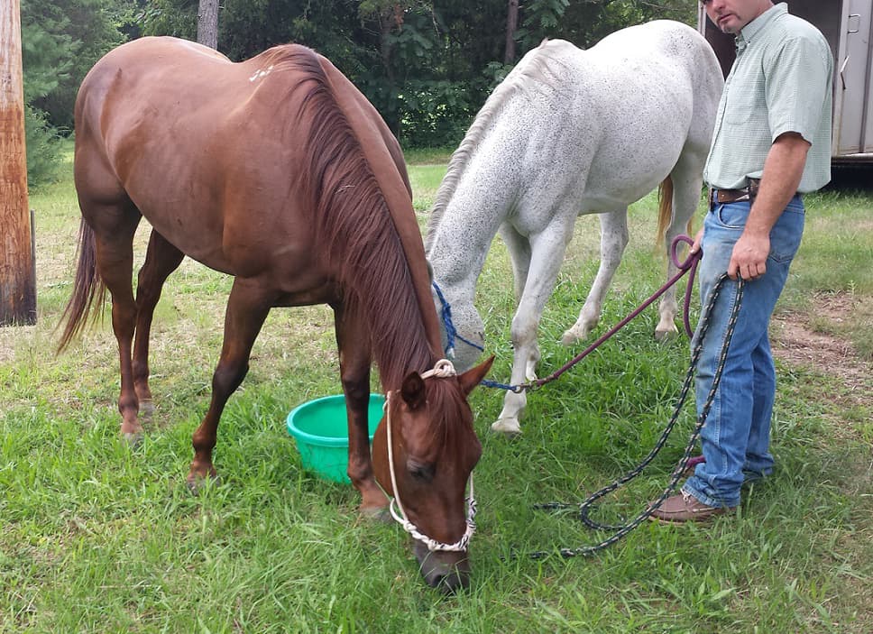 sandra-micozzi-mocksville-nc 2