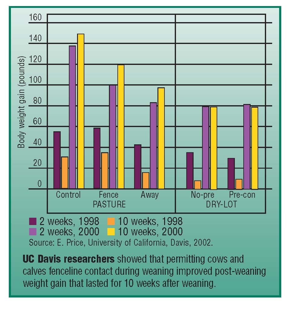 UC Davis fenceline chart showing that permitting cows and calves fenceline contact during weaning improved post-weaning weight gain that lasted for 10 weeks after weaning.