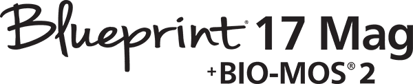 Blueprint 17 Mag Logo