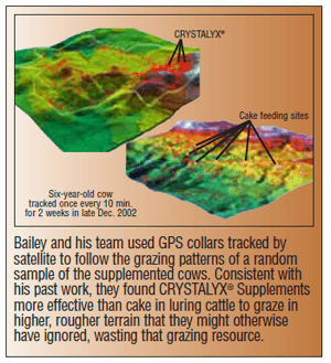 A chart showing GPS tracking for cow grazing patterns related to the effectiveness of Crystalyx suppliments.