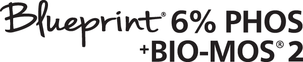Blueprint 6% PHOS Logo