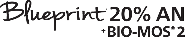 Blueprint 20% AN Logo