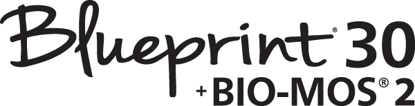 Blueprint 30 Logo