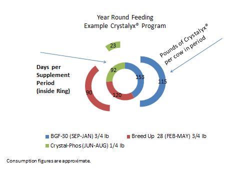 Year round feeding_100212.jpg