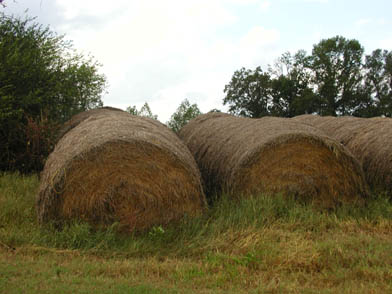 Big hay bales_073112.jpg