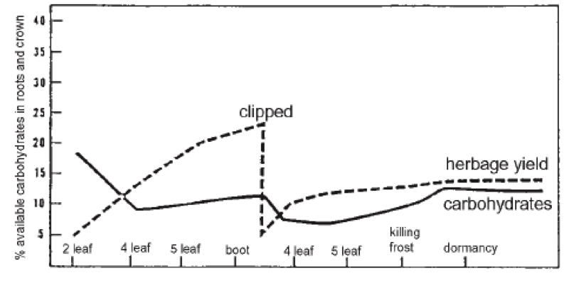 Herbge yield_040312.png