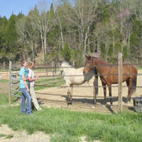 David and Maria Blackstone-Bulls Gap TN.jpg