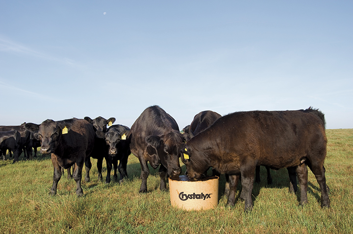 BioBarrel®