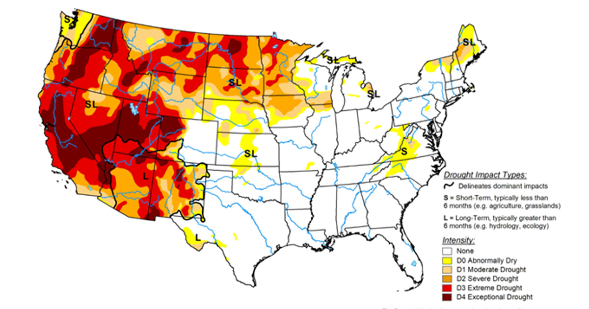 081321-CLX-Cow-Calf-Drought-1200x630.jpg