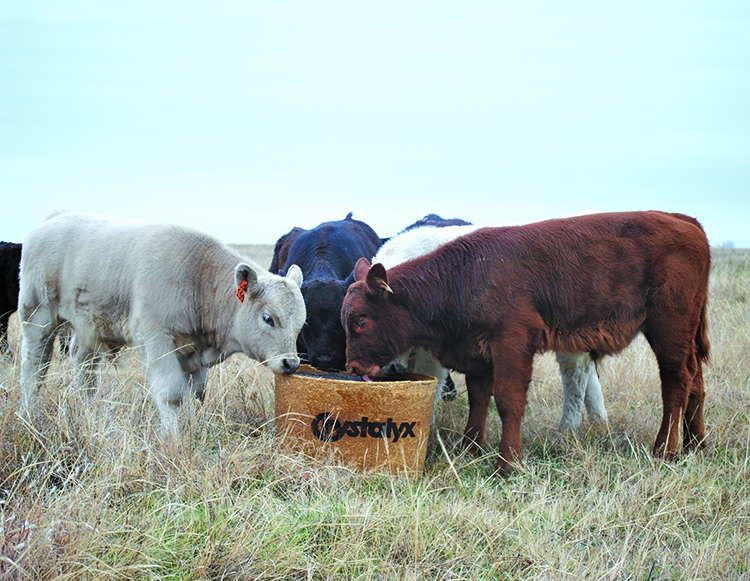 092716-Weaning Calves with Minimal Stress-Tim-Clark.jpg