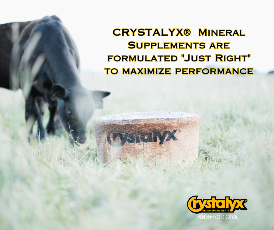 CRYSTALYX® Mineral Low Moisture Tubs are Just Right for your Herd (2).png