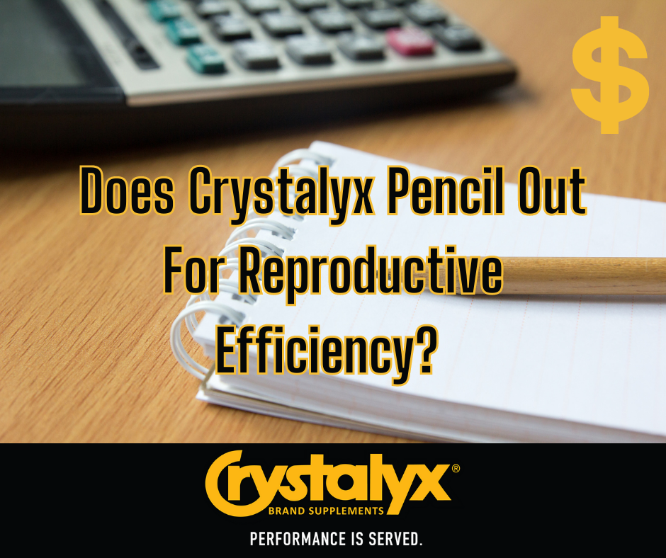 Does Crystalyx Pencil Out (1).png