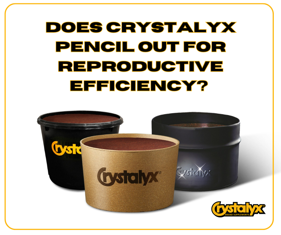 Does Crystalyx Pencil Out (9).png