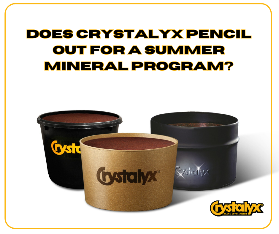 Does Crystalyx Pencil Out (12).png