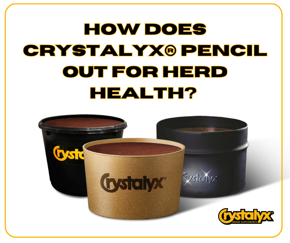 Does Crystalyx Pencil Out (20).png