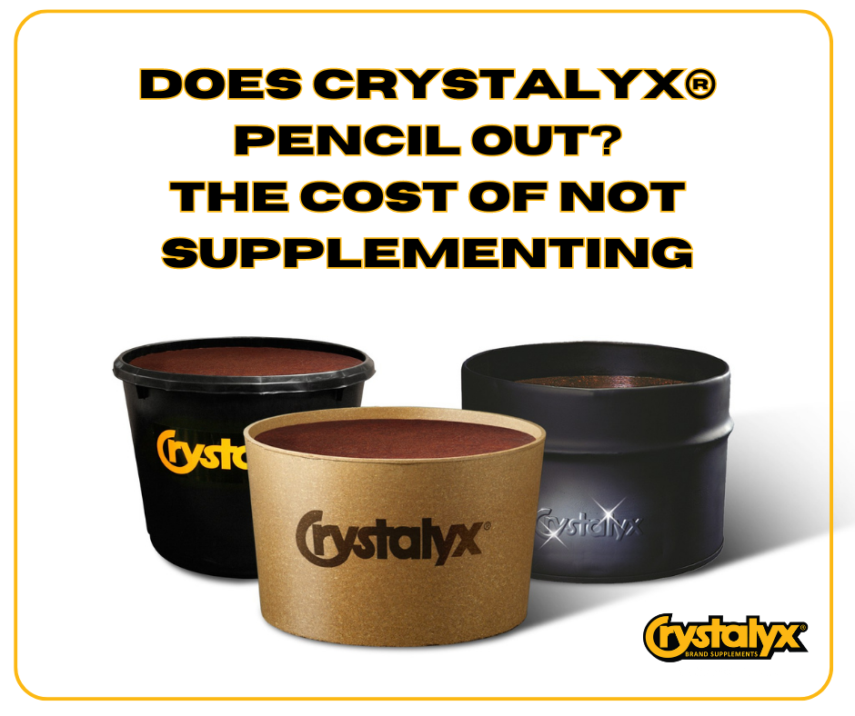 Does Crystalyx Pencil Out (22).png