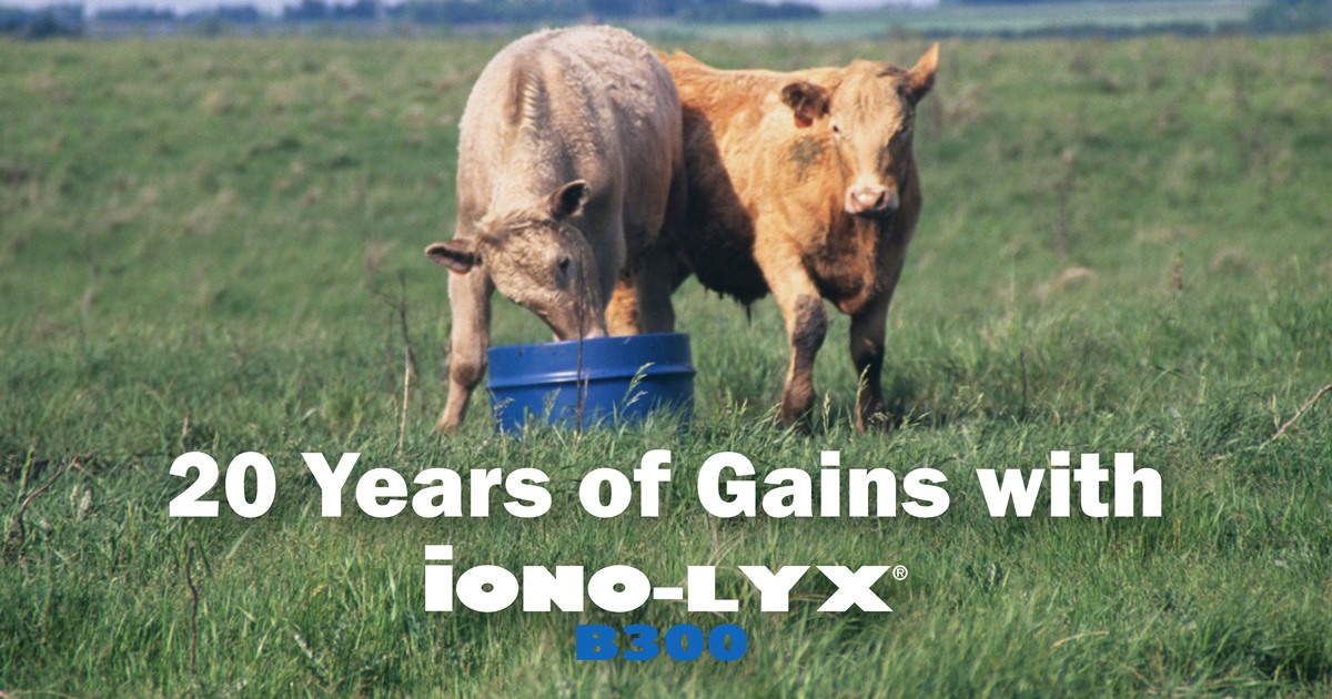 20 Years of Gains with Ionolyx_1200x630.jpg