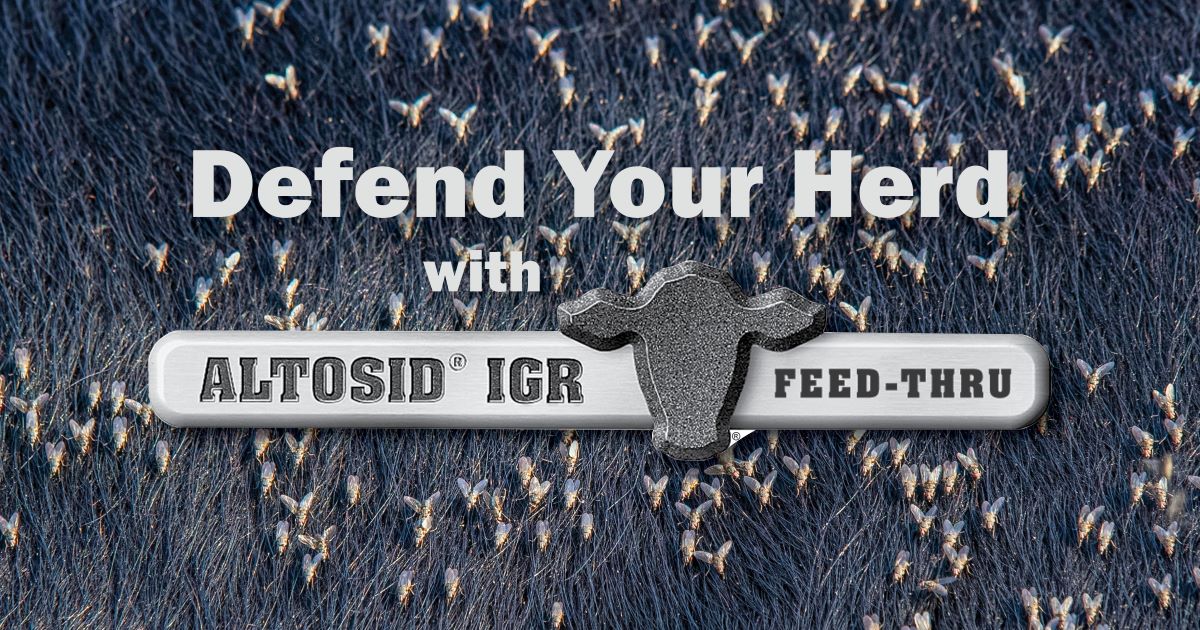 Crystalyx Blog_Fly Control_CLS Altosid_1200x630 1.jpg