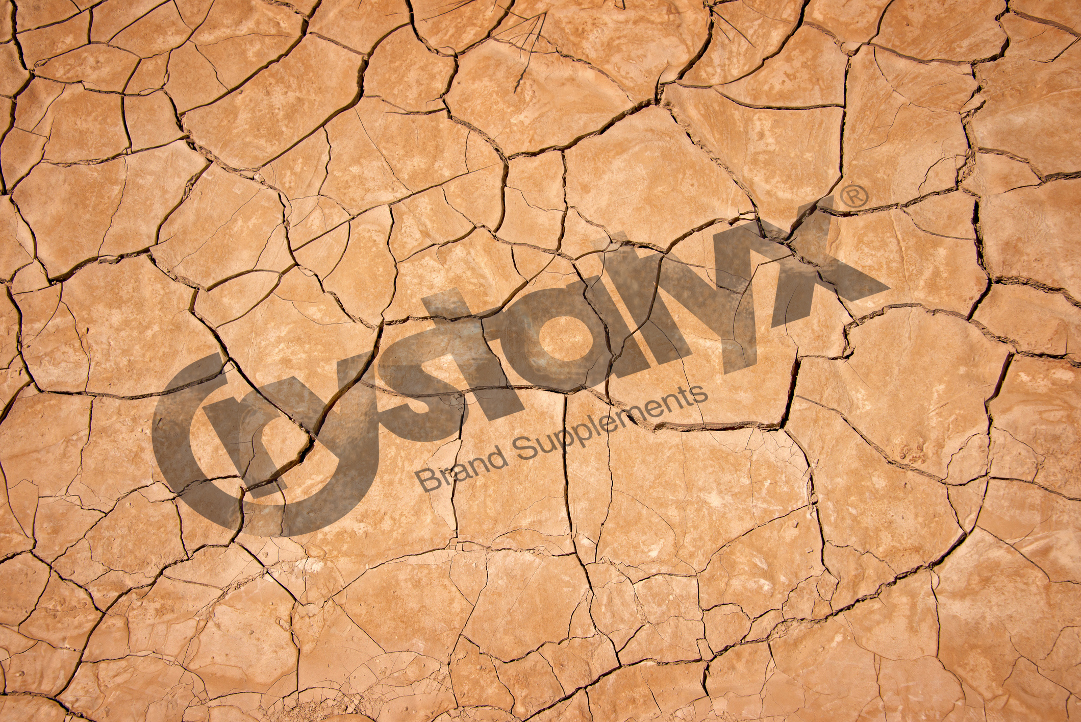 061217-CRYSTALYX-Drought-Image-Background copy.jpg